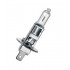 Bec Halogen Auto, H1, P14.5s, 70w, 24V