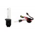 Bec xenon HID H3 6000K AMIO-01985