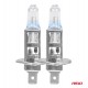 Set 2 becuri halogen H1 12V 55W LumiTec GENERAȚIE URMĂTOARE +135% DUO AMIO-04402