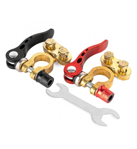 Borne baterie cu eliberare rapidă AMIO-04059