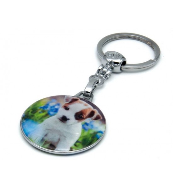 Breloc Metalic, Cheie Auto, Model Catel