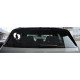 Baby on board talpa 1 fundal transparent