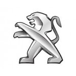 Carcasa Cheie Peugeot