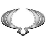 Carcasa Cheie SsangYoung